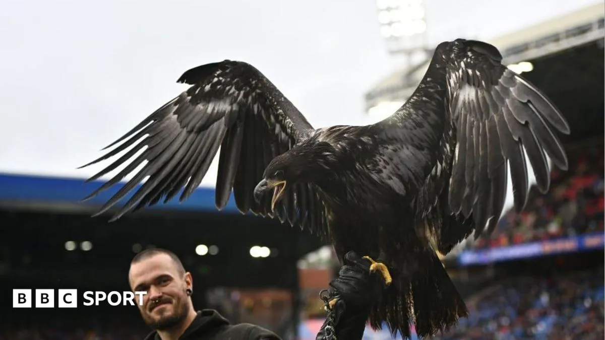 Peta Desak Crystal Palace Pensiunkan Maskot Elang Hidup Selhurst Park